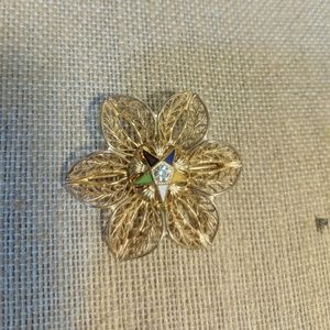Eastern Star brooch/pin